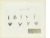 thumbs colt1929rifle10 Colt 1929 Semiauto Rifle
