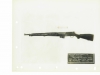  Colt 1929 Semiauto Rifle