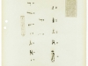 thumbs pedersen11 US Pedersen .276 rifle