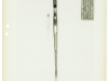 thumbs thompsonrifle6 US Thompson .276 semiauto