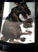 thumbs zombie rat target SHOT Show Wrapup