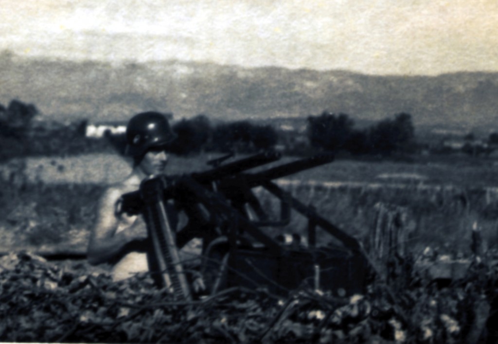 MG81 zwilling x2 in field