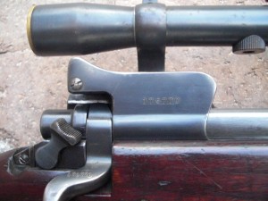 P14 Sniper rear sight ear