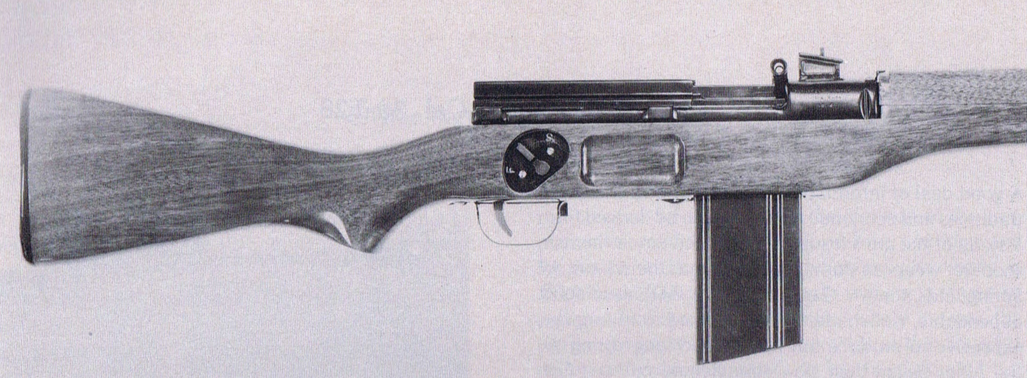 Gun 19