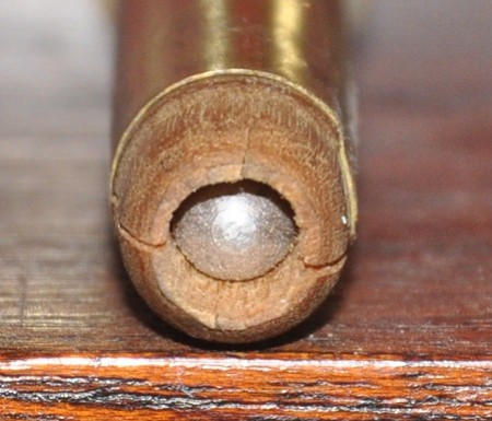 .45-70 shot cartridge