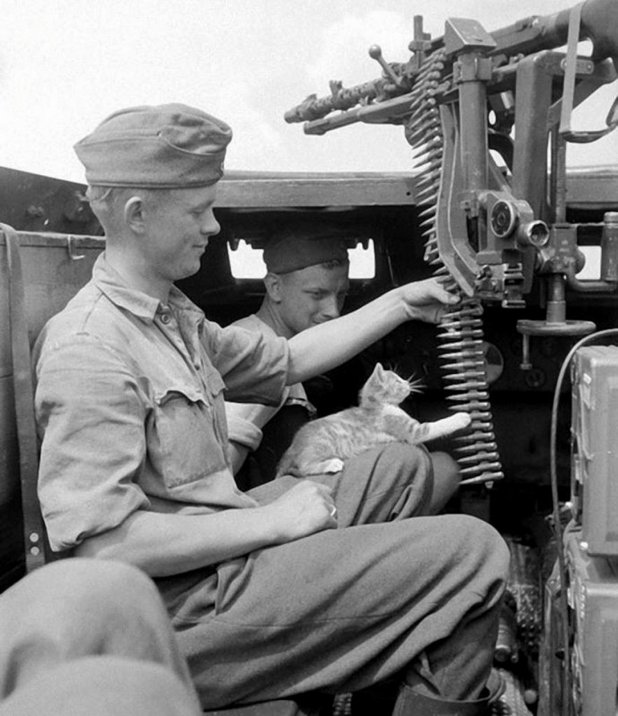 German soldiers and a kitten playing with an MG34 ammo belt